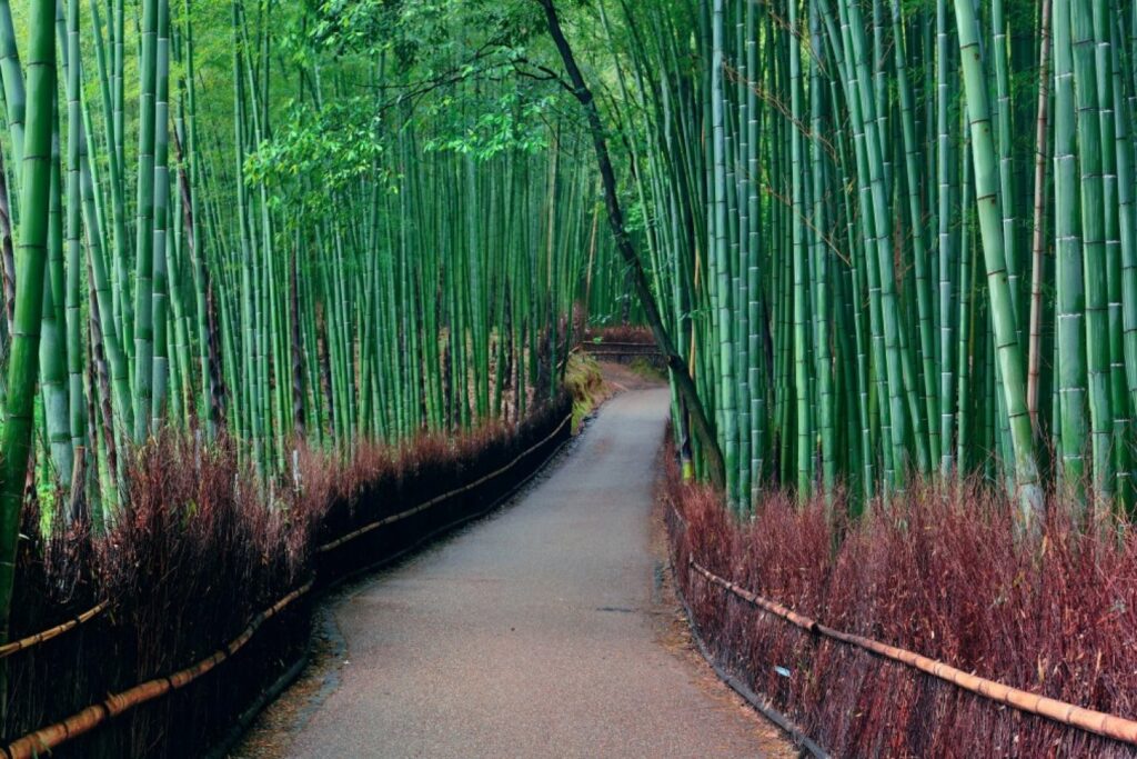 kyoto-arashiyama-175746